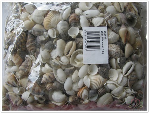 Schelpenmix 1 kg middenmaat small 