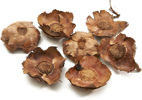 Coco flower Naturel 250 gram