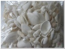 Schelpenmix Wit 1 kilo 
