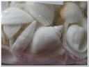 Schelpenmix Wit 1 kilo 