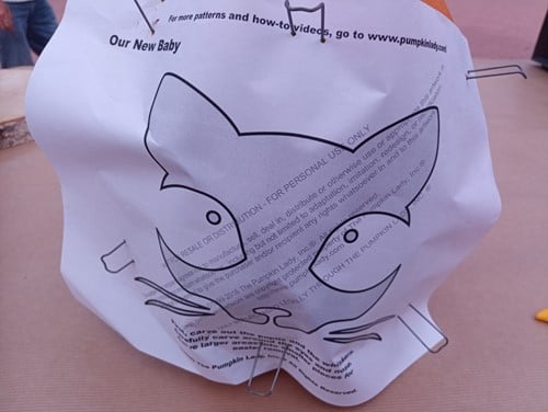 pompoenzaden uitsnijsetje setje om pompoenzaden uit te snijden carvingkit