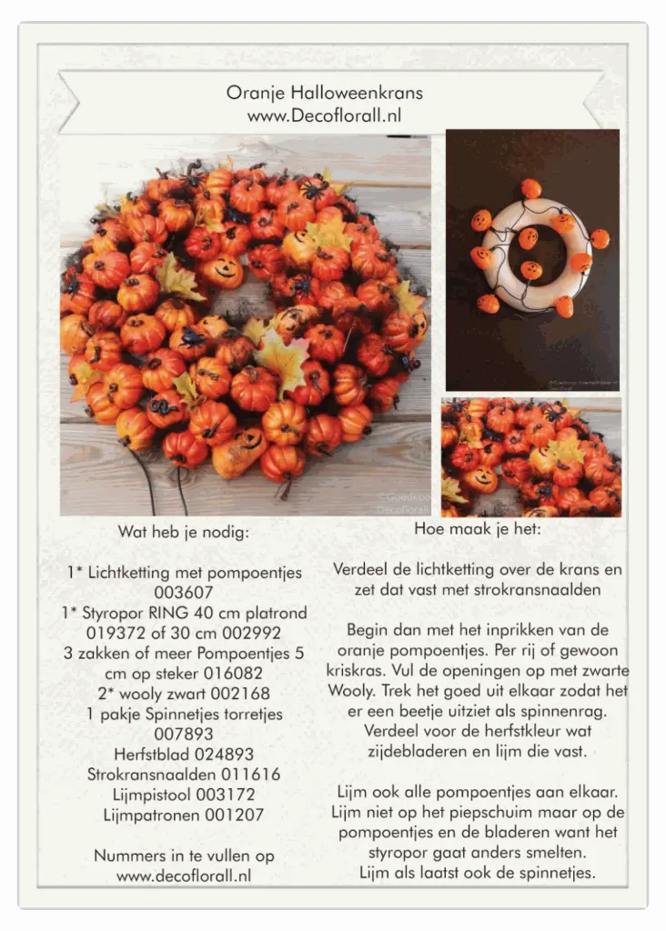 Oranje pompoentjeskrans update.webp