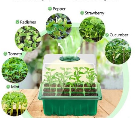 Seed Starter box [zonder licht] 12 cellen / st Vensterbankkasjes met verstelbare ventilatie
