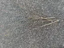 IMG_20260314_173751.webp
