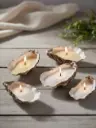 oesterschelpen wit.webp