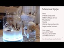 youtube - [Video]