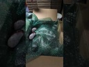 youtube - [Video]