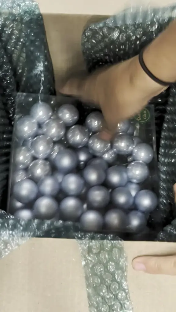 A-028177_opname_10s.webp