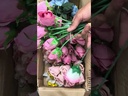youtube - [Video]