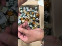 youtube - [Video]