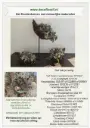 Eendenkorven met natuurlijke materialen materialenlijstje.webp