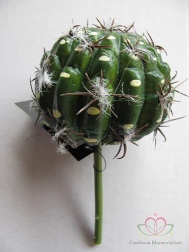 SMALL BALL CACTUS groen Zijde- Latex 