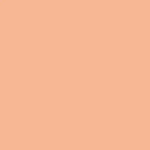 MTN_WB4_RV-102_Dalai_Orange.webp