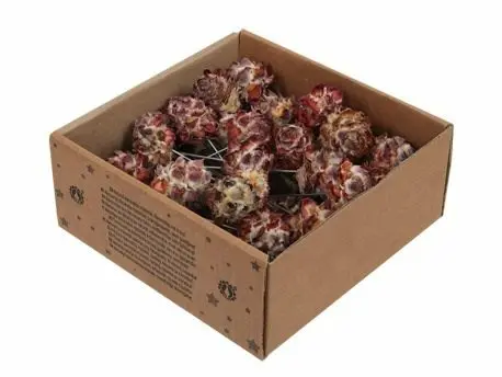 282312 w-b. 50 pubescens-wire 10 cm natural 1-30.webp