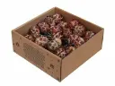 282312 w-b. 50 pubescens-wire 10 cm natural 1-30.webp
