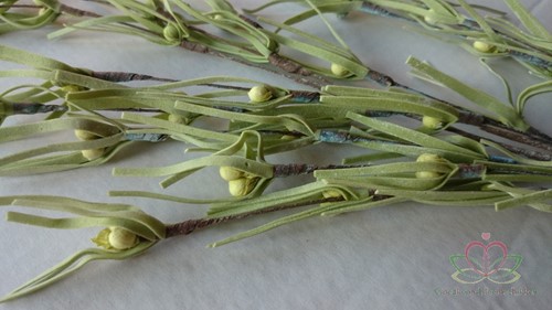 Spider Safari Groen , tak 