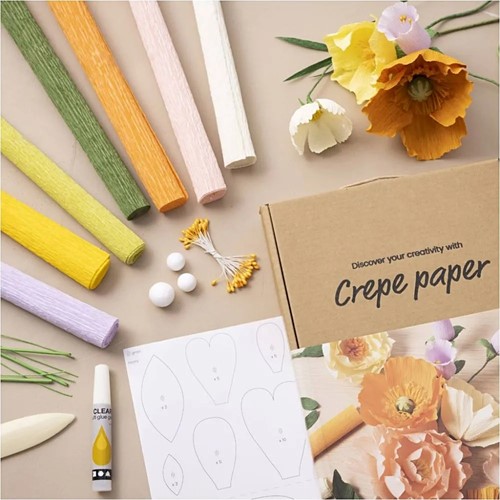 Starter Hobbyset Crêpepapier Crepe papier incl video tutorial