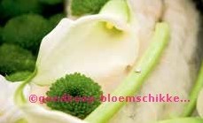 Steekschuim Dubbelring oase voor verse bloemen 53 cm
