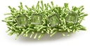 Takkenframe met 4 vaasjes Bloemenhouder 'Grass' matcha groen 4 glazen 23,5x7,5x20cm