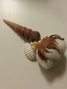 Terebra Pearl Whitebrown schelpen 860 gram