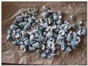Trochus Stellatus schelpen 1000 gram