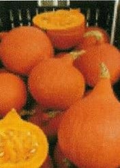 Uchiki Kuri of wel Rode Hokkaido - basiseenheid pompoenzaden