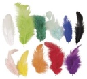 Verenmengsel Regenboog Rainbow Bont 3-10cm , 10 gr donsveren veertjes