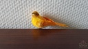 Vogeltje de luxe Okergeel doos 12 stuks voor bloemschikken en decoratie
