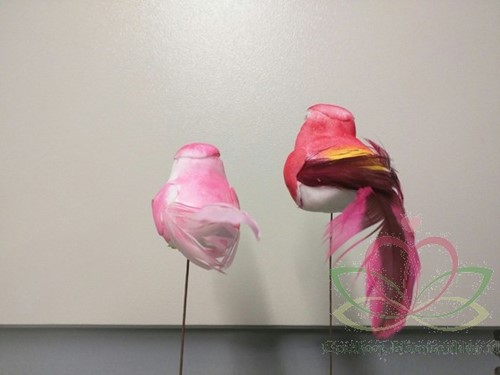 Vogeltje de luxe Roze Twotone doos 12 stuks voor bloemschikken en decoratie