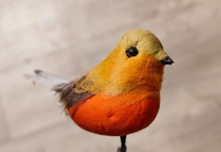 Vogeltje Robin ORANGE/rood/BROWN / st roodborstje