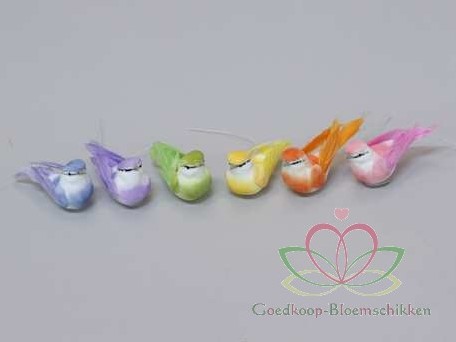 Vogeltjes 12 stuks 6x3,5 cm 6 heldere kleuren felle kleuren