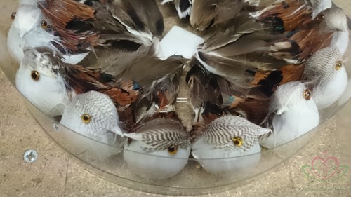 Vogeltjes DonkerstBruin natuurlijk 16 stuks van 9 cm voor bloemschikken en decoratie
