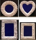 White Cay Cay 200 gr kleine witte schelpjes