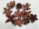 Wild chestnut natural zak 10 stuks natuurlijk bloemschikmateriaal