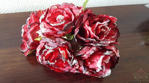Wrinkle rose BUNDEL Sugar rood Zijdenroos suiker Donkerrood 
