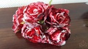 Wrinkle rose BUNDEL Sugar rood Zijdenroos suiker Donkerrood 