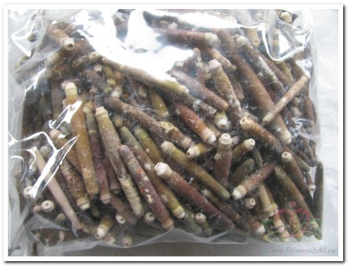 Zeeegel pennen 1 kilo