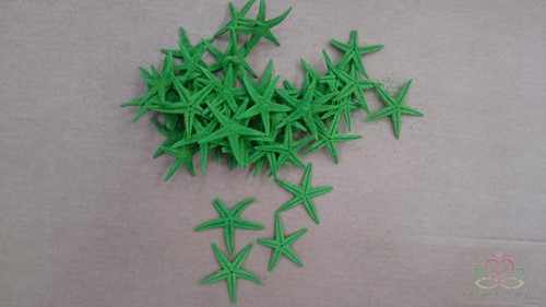 Zeesterren appelgroen, ca. 2 inch, 50 stuks
