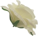 Zijden Rozen SINGLE ROSE FLOWER HEAD IVORY X 12 st Goedkoopje ROSE FLOWER HEAD