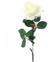 Zijdenroos Wit open roos met blad / stuk 