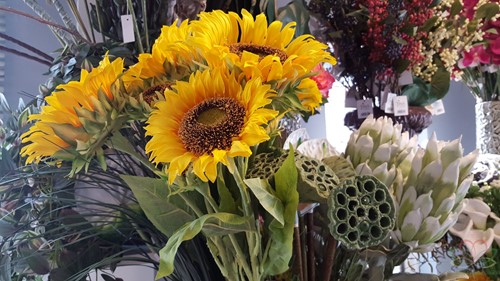 Zonnebloem 3 taks groot . Per STUK! 