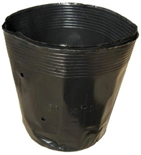 Zwarte plastic opkweekzakjes 6.5*6.5cm Pak ca. 100 flexibele potjes