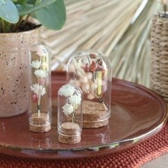 Mini Dome Ø2 h.4 cm set 12 stolpje met kurk voor geschenken [ zijn LEEG!]