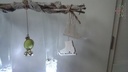 Oasis®- Rainbow Mini Sphere 4 cm ballen Per STUK - 40 Ivory 4 cm Gekleurd steekschuim