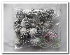 Sylvester dennenappel Silvesters White Wit ca. 9st 