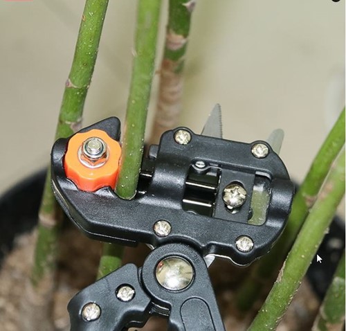 Ent en snoeischaar met verwisselbare messen 2-in-1 Tuin-entgereedschap