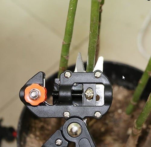 Ent en snoeischaar met verwisselbare messen 2-in-1 Tuin-entgereedschap