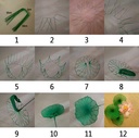 Achtdelige set tools Nylonbloemen maken