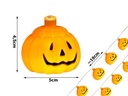 Halloween LED Slinger Pompoentjes 4.5*5cm  Lichtketting 2 Meter 10 Lampjes