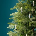 LED boomkaarsjes warm wit op batterij – 10 stuks met Timer en afstandsbediening